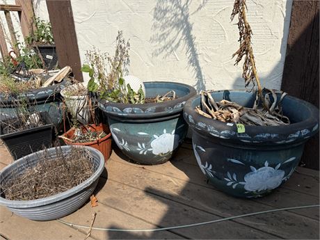 Flower Pots