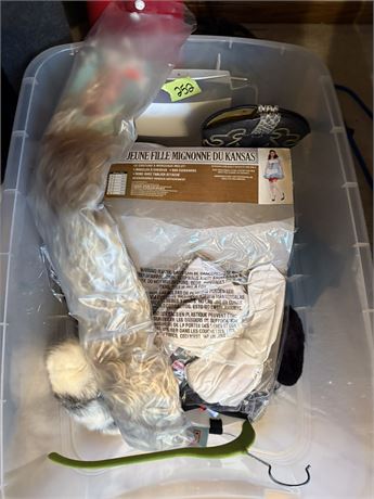 Costume Accessories