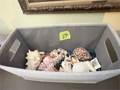 Shells