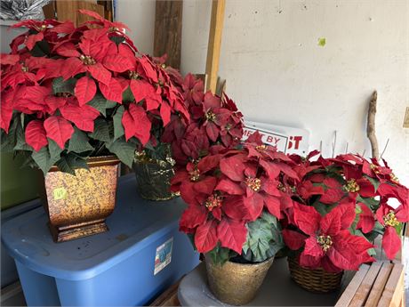 Artificial Poinsettias