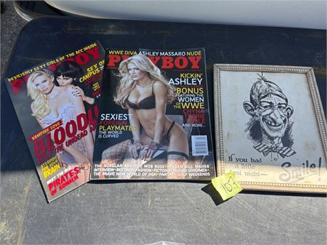 Playboys, Art