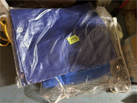 Tarp