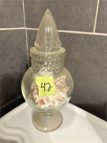 Decor, Shells