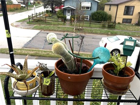 Plants (Plant Stand Not Included)