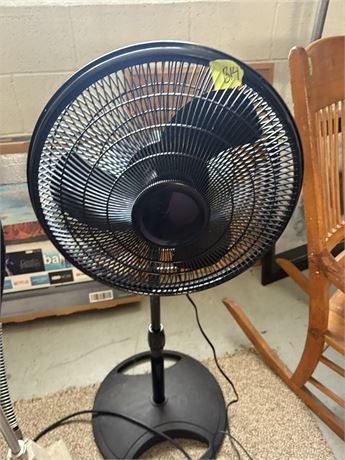 Fan