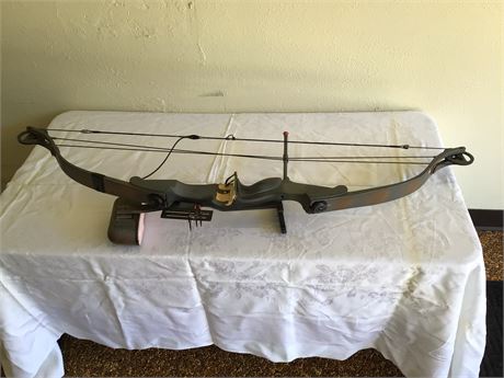 Darton Adult Compound Bow With Quiver