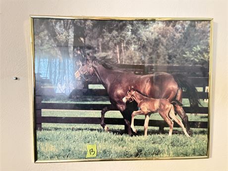 Horses Wal Art