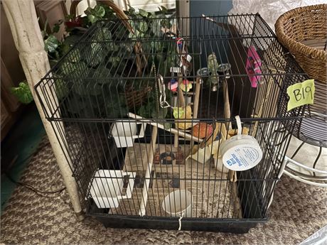Bird Cage