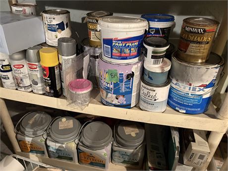 Shelf Lot Paint