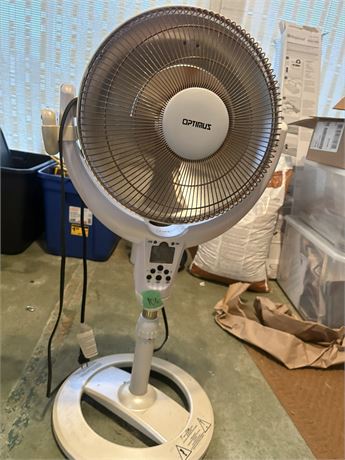 Fan