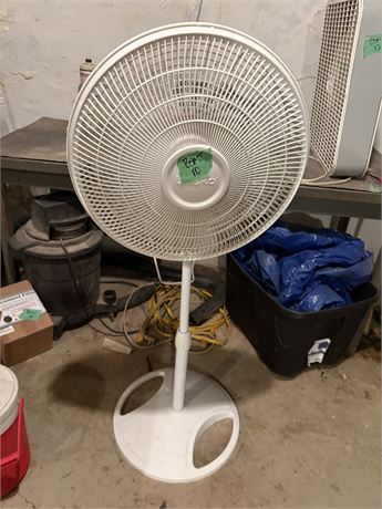 Fan