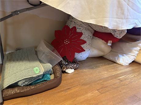 Pillows, Rugs