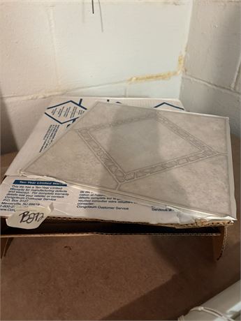Floor Tiles, Partial Box