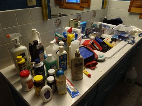 Bathroom Clean Out