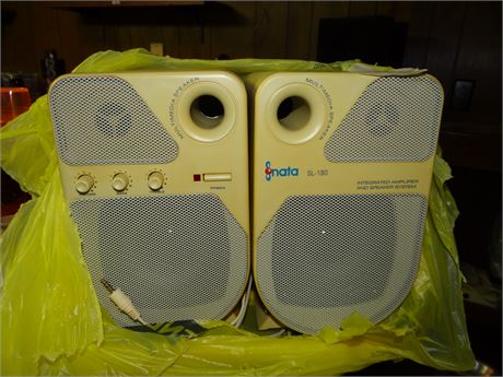 Speakers Basement