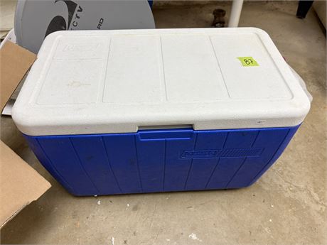 Cooler and Ice Packs