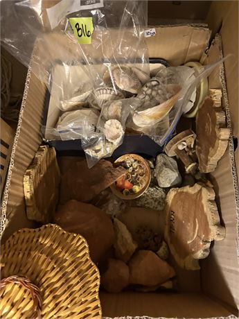Decor, Shells