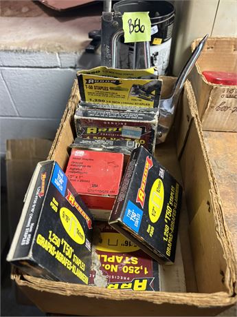Staple Gun and Staples