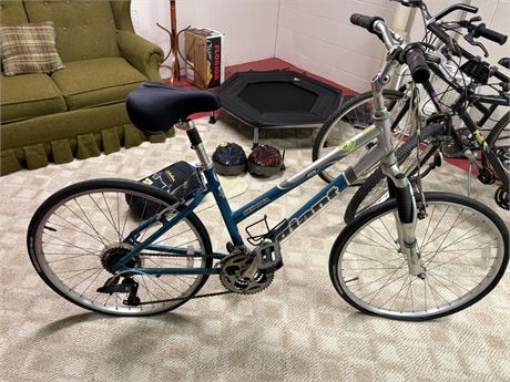 Giant Bicycle