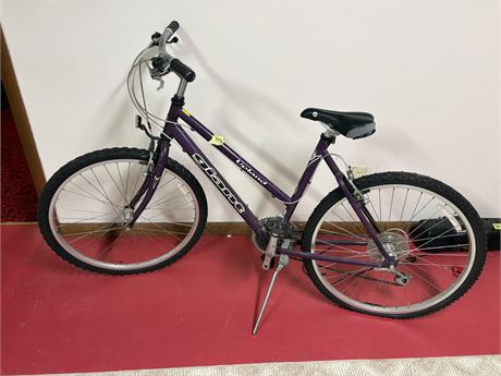 Giant Bicycle