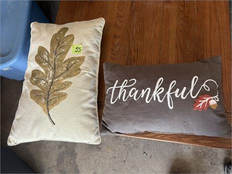 Decorative Pillows