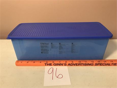 FridgeSmart Tupperware