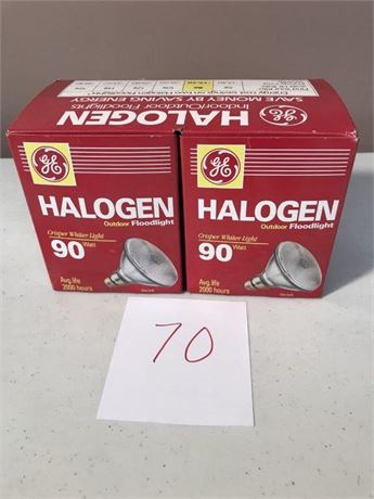 Halogen 90 Watt Bulbs