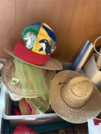 Hat Lot