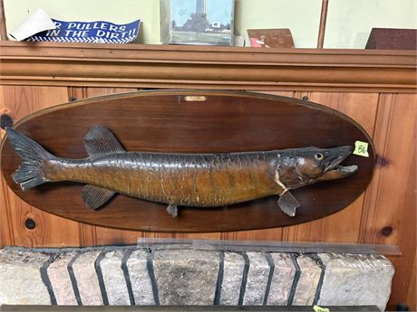 Mounted Fish