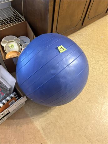 Exercise Ball