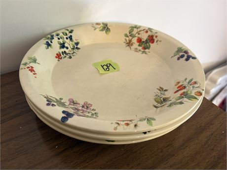Hand Painted Plates