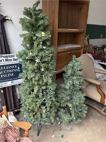 Christmas Trees