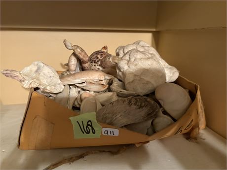 Shells