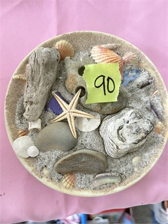Shell Decor