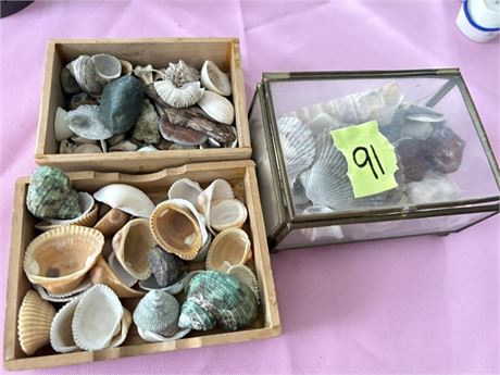 Shells