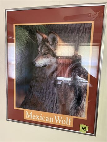 Wolf Wall Art