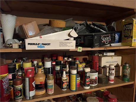 Shelf Lot
