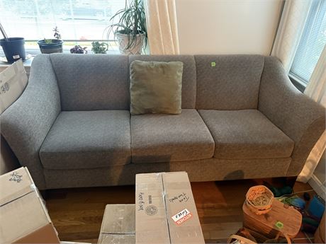 Sofa (Great Condition)