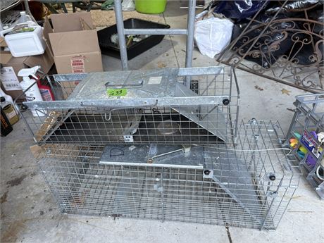 Animal Traps
